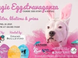 Doggie Eggs