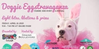 Doggie Eggs