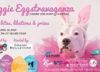 Doggie Eggs