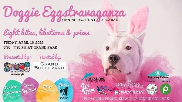 Doggie Eggs