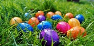 Free Painted Eggs Image, Public Domain Easter Cc0 Photo.