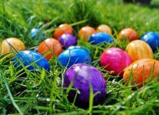 Free Painted Eggs Image, Public Domain Easter Cc0 Photo.