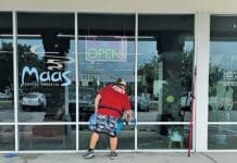 Fish Window Cleaners At Glass