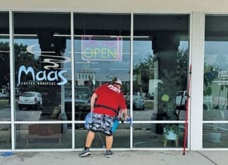 Fish Window Cleaners At Glass