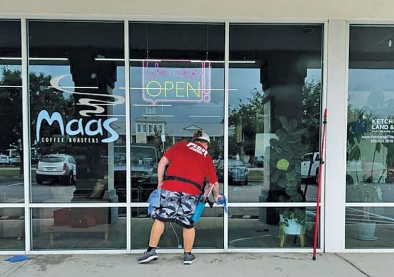 Fish Window Cleaners At Glass