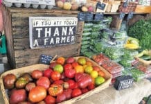 Baytowne Farmers Market