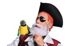 Pirate