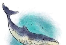 Sean Dietrich The Whale