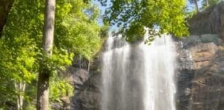 Nature Sowal