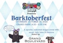 Dog Harmony Barktoberfest Letter Size