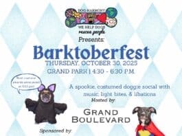Dog Harmony Barktoberfest Letter Size