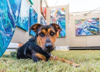 Festival of the Arts Marks 30 Years of Color, Creativity and Community Mkaf Festival Of The Arts 042 3000