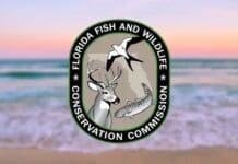 Florida Fish And Wildlife
