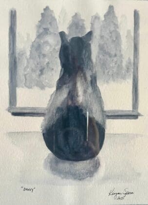 Meowsterpieces Keegan Spera Danny Adult Category (1)