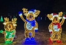 Christmas Reflections on Lake DeFuniak Chance & Maia Huff With Sister Alice Fleeman