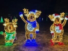 Chance & Maia Huff With Sister Alice Fleeman