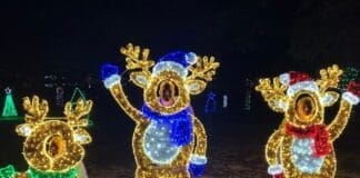 Chance & Maia Huff With Sister Alice Fleeman
