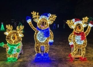 Christmas Reflections on Lake DeFuniak Chance & Maia Huff With Sister Alice Fleeman