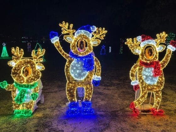 Chance & Maia Huff With Sister Alice Fleeman