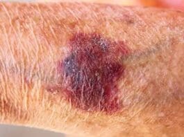 Coastal Skin Surgery 6641