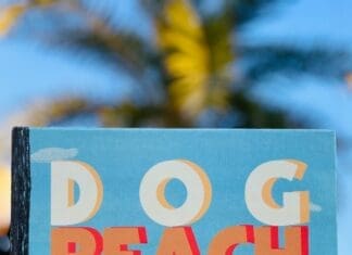 “Dog Beach Party” is about to make a splash in South Walton! Dog Beach Party