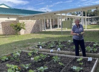 Photo Jr Gardeners Butler School