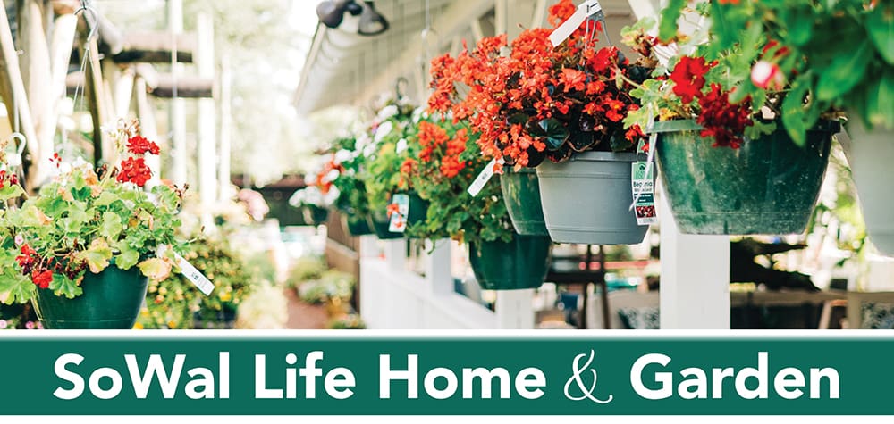 Sw Home And Garden Email Header