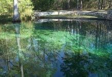Ponce de Leon Springs