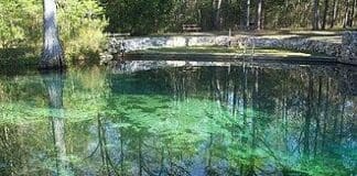 Ponce de Leon Springs
