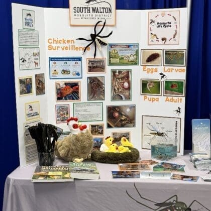 Chicken Surveillance Display At 4h Safety Day Walton County Fairgrounds