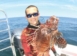 Lionfish Alex Fogg