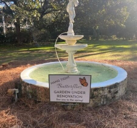 Photo Butterfly Garden Under Renovation 02.07.2026