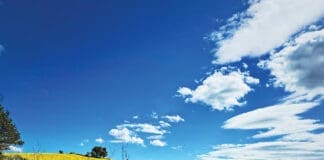 Sean Dietrich Del Camino