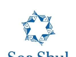 Sea Shul Logo