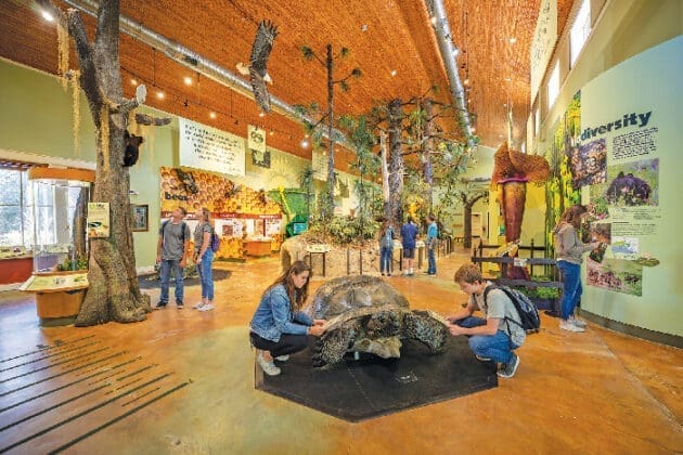 Biophilia Gemini Image