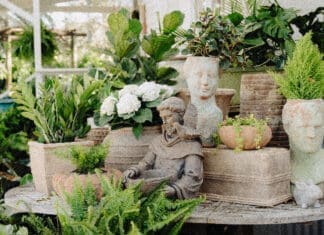 Bloom, Grow, and Gather: Clay 30A Clay30a