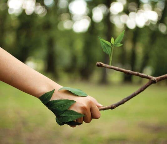 Love The Nature