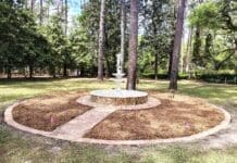Photo Butterfly Garden Renovation