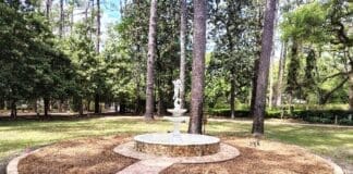 Green Thumb Garden Club Wraps Up the Year in May With A Beautiful Program at a Special Venue Photo Butterfly Garden Renovation