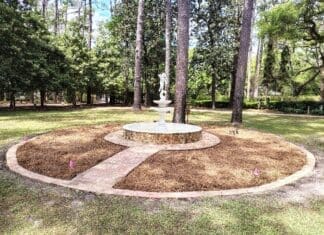 Photo Butterfly Garden Renovation