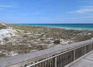 Walton County Offers Day-Use Entry to Grayton Beach State Park and Topsail Hill Preserve State Park Copilot 20260606 145338
