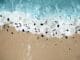 Sounds,of,nature.,musical,notes,scattered,above,rolling,ocean,waves