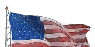 Sean Dietrich Flag