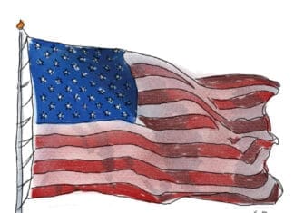 Sean of the South: Ball Games Sean Dietrich Flag